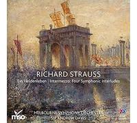 Strauss Richard - EIN Heldenleben [Import]