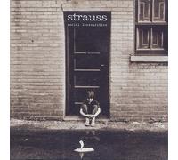 Strauss - Social Insecurities