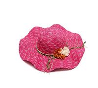 Straw Hat Big Brim Fisherman Hat Straw Woven Hat Flower Temperament All-Match Ladies Hat