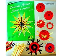 Straw Star Craft Kit 1 élément d'étoiles 12 points