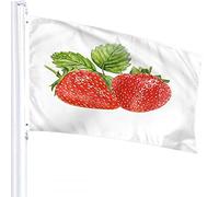 Strawberry Flag 3x5 FT Watercolor Fruit Strawberries Leaves Outdoor Flags Large Welcome Yard Banners Home Garden Yard Lawn Decor Red Green