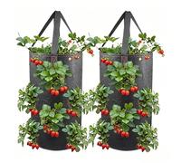 Strawberry Grow Bags - 3 Gallon Planting System | Vegetable Planter Fabric Pots With Handle, Multi Hole Garden Growing Container Set For Peppers Carrots Fruits Raspberry Outdoor Yard Gardening Use