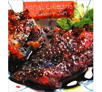 Animal Collective – Strawberry Jam – Vinyle 12" – Édition deluxe