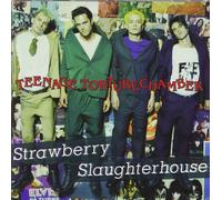 Strawberry Slaughterhouse - Teenage Torture Chamber