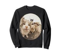 Stray Cat Gang Crew Funny Cat Lover Vintage Retro Sweatshirt
