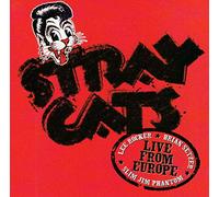 Stray Cats - Live in Holland 30.7.04 [Import]