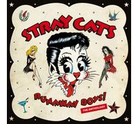 STRAY CATS - RUNAWAY BOYS-THE ANTHOLOGY 2 CD NEUF