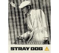 Stray Dog
