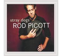 Stray Dogs