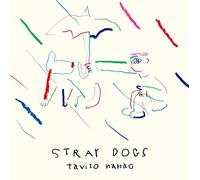 Stray Dogs