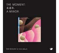 Stray Kids Kim Woojin The Moment : 1er mini album C Ver CD + 1 poster pliable + 1 livre photo 80 p + 1 carte photo + 1 autocollant + 1 suivi