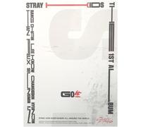 Stray Kids Skz - 1St Album Go Live, [A Type]