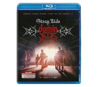 Stray Kids: The dominATE Experience