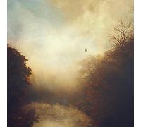 Stray Theories - This Light [Import]