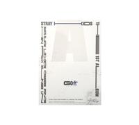 STRAYKIDS SKZ - 1ST ALBUM GO LIVE, [C TYPE]