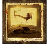 Straylight Run