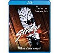 Strays - Cat's Les Tueurs D'homme