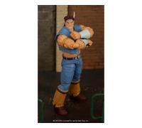Street Fighter II T. Hawk 8" Figure