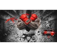 STREET FIGHTER V (PS4)