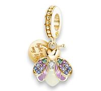 Streetculture Élégant charm luciole Coccinelle lumineuse avec message Light Up my Life - Argent sterling 925 - Pour bracelet à breloques - Accessoire de bijoux phosphorescent