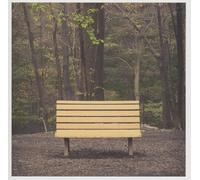 STREETLIGHT MANIFESTO - THE HANDS THAT THIEVE (CLEAR VINYL) [Vinilo]