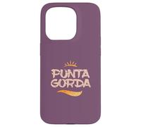 Streetwear de Punta Gorda en Floride Coque pour iPhone 15 Pro