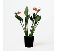 Strelitzia Reginea - Fleur de paradis - Avec fleurs artificielles - 70-100cm - Ø19cm