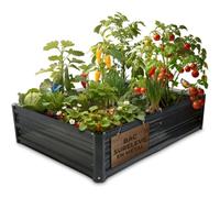 STREND PRO Bac Potager Surélevé en Métal 120×90×30cm | Jardinière Basse Et Compacte en Acier Galvanisé pour Jardin | Carré Potager pour Légumes, Herbes Aromatiques Et Plants De Tomates