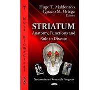Striatum: Anatomy, Functions & Role in Disease (Neuroscience Research Progress: Cerebrovascular Research and Disorders) - [Version Originale] Inconnu (Auteur)