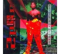 Strictly 4 My N.I.G.G.a.Z.
