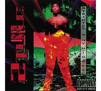 Strictly 4 My N.I.G.G.A.Z...