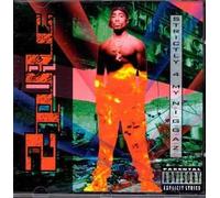 Strictly 4 My N.I.G.G.A.Z... by 2Pac (1998-03-10)