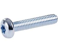 Striebel & John ZX915P10 2CPX060204R9999 Vis à tête plate 6 mm 45 mm 6 pans acier galvanisé 10 pc(s)