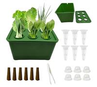 Striegro Système de Culture hydroponique pour Plantes d'intérieur, kit de système Culture hydroponique d'intérieur Efficace avec dôme Transparent et Outils pour Le Jardinage 'Herbes, légumes, lai.