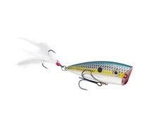Strike King Junior KVD Splash Hardbait Série Appât, Chrome Sexy Shad