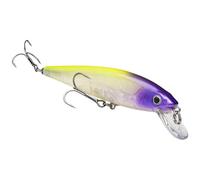 Strike King Lures KVD Jerkbait 2 Hook Pro Prple Headed Hmmr HCKVDJ200-293