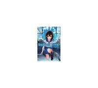 Strike The Blood, Vol. 20 (Light Novel)