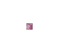 String Quartets Vol. 6/Coull Quartet