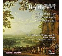 String Quintet Op.29/P