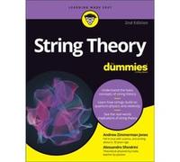 String Theory For Dummies by Alessandro Sfondrini Alessandro Sfondrini (Auteur)
