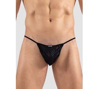 String Zebra XL