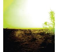 Strings of Consciousness - Strings of. [Import]