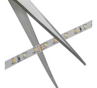 STRIP LED Blanc 3000-6000K IP44 - NORDLUX 2210359901