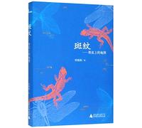 Stripes: The Map on the Animal Skin (Chinese Edition)