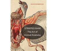 Stripped Bare: The Art of Animal Anatomy