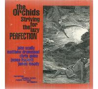 Striving for the Lazy Perfection