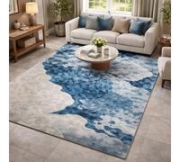 Strloepr Tapis Paillasson Entree Interieur Salon Chambre Cuisine Lavable en Machine,Tableau Abstrait Moderne Bleu, Blanc, Gris, 60 x 90 cm
