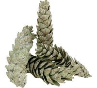 Strobus Cônes Déco Vert pomme Blanc 15-20cm 50 pcs Décoration naturelle