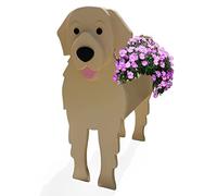 strolfay Pot de fleurs en PVC pour femme, joli pot de fleurs pour intérieur et extérieur, pot de fleurs pour anniversaire, bureau, amoureux des animaux domestiques, 24 x 18,2 x 34 cm (Golden