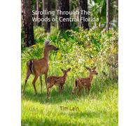 Strolling Through The Woods Of Central Florida